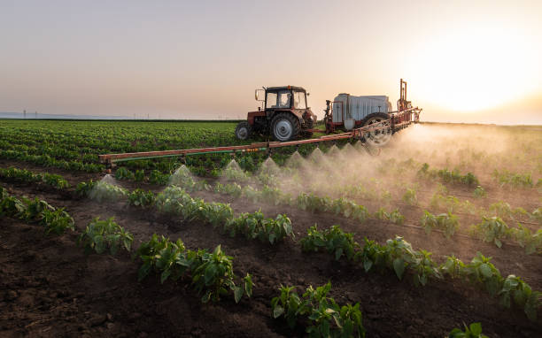 Best Pest Control Treatment  in Lincoln, CA