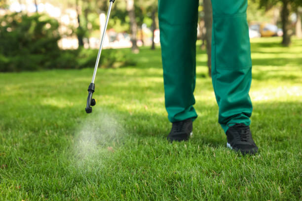 Reliable Lincoln, CA Pest Control Solutions
