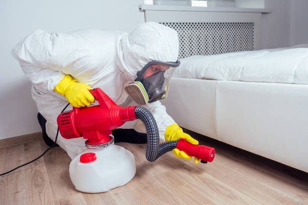 Best Best Pest Control Companies  in Lincoln, CA