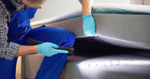 Lincoln, CA Pest Control Pros