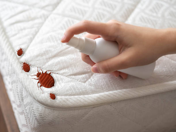 Best Best Pest Control Near Me  in Lincoln, CA