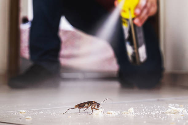 Best Exterminator Services  in Lincoln, CA