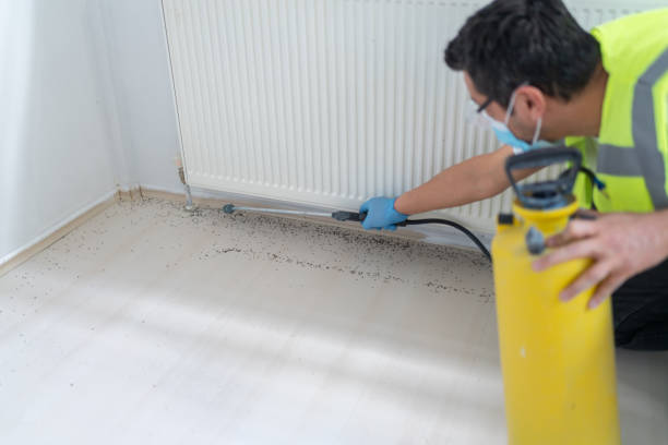 Pest Control Cost in Lincoln, CA
